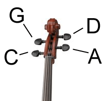 cello head